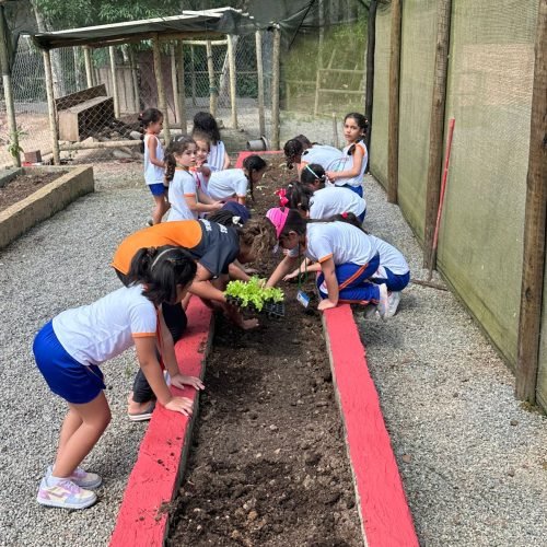 2fc55234-cf7d-40e0-bc24-c2cfc2687047