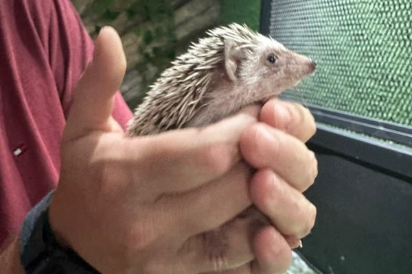 8f53b413-08fd-4462-8ee2-8fc42a919f1f